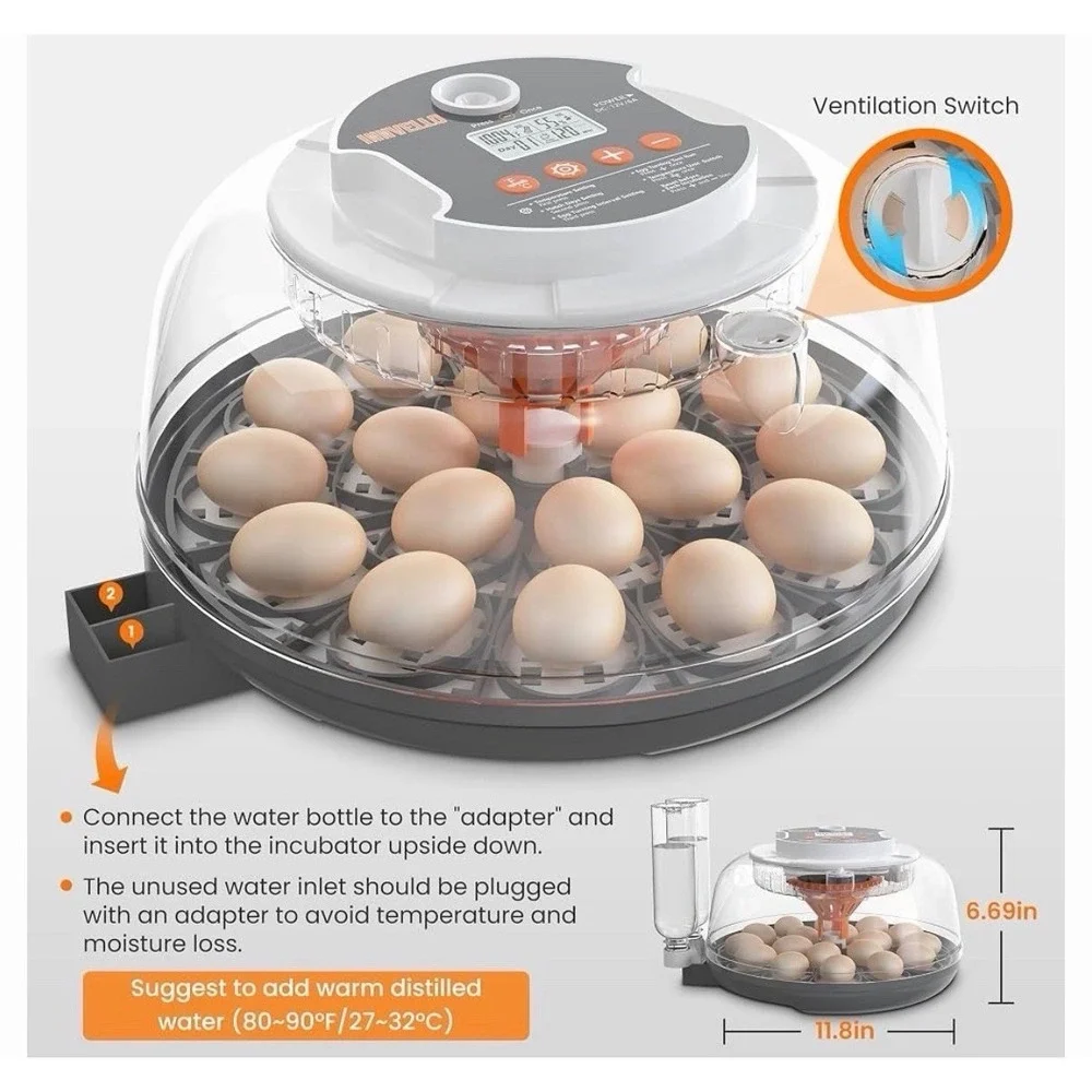The Unbranded Brand 18 egg